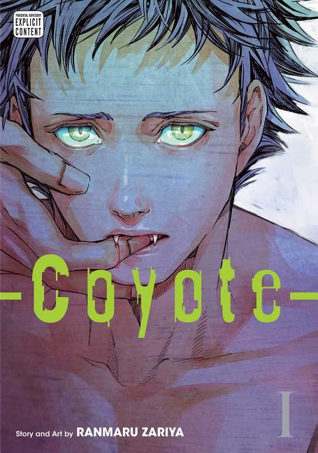 Coyote