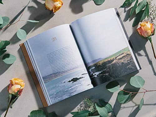 Grehge - Alabaster Bible [Perfect Paperback] Alabaster Co. [Perfect Paperback] Alabaster Co.