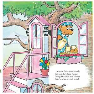 Berenstain Bears Set: Trouble with Friends / Berenstain Bears Too Much TV / Berenstain Bears and the