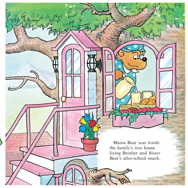 Berenstain Bears Set: Trouble with Friends / Berenstain Bears Too Much TV / Berenstain Bears and the