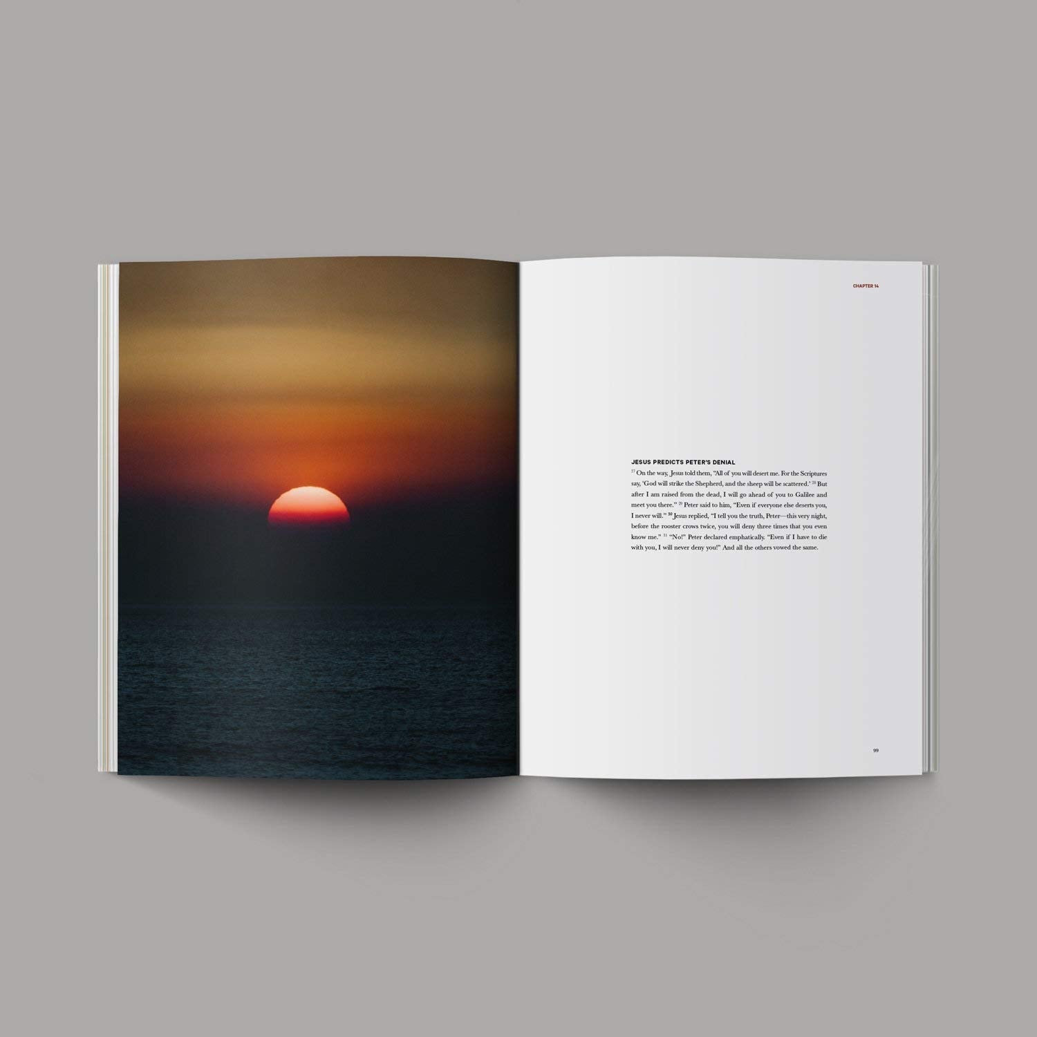 Grehge - Alabaster Bible [Perfect Paperback] Alabaster Co. [Perfect Paperback] Alabaster Co.
