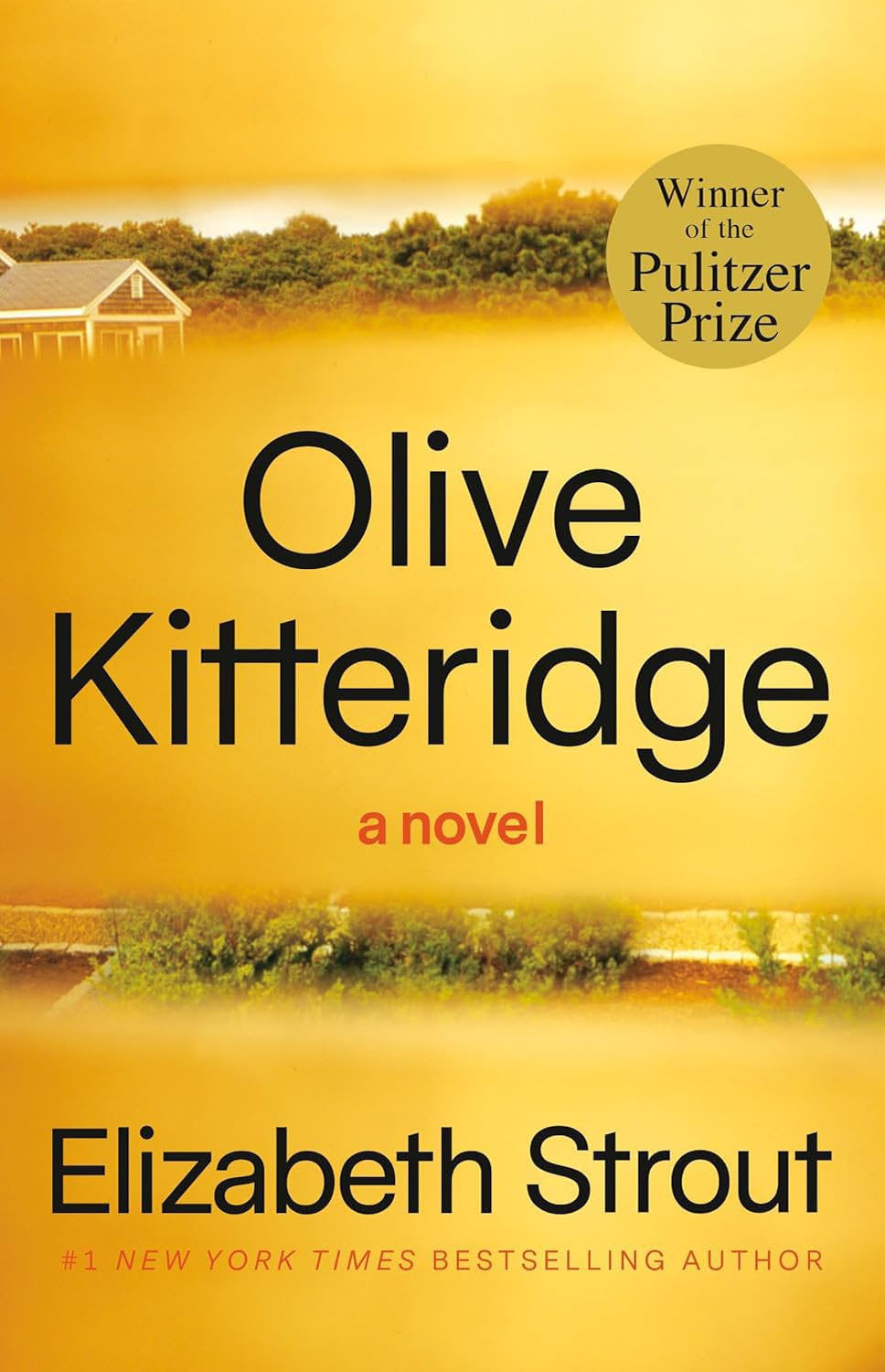 Olive Series Collection 2 Books Set by Elizabeth Strout - Olive Kitteridge and Olive, Again