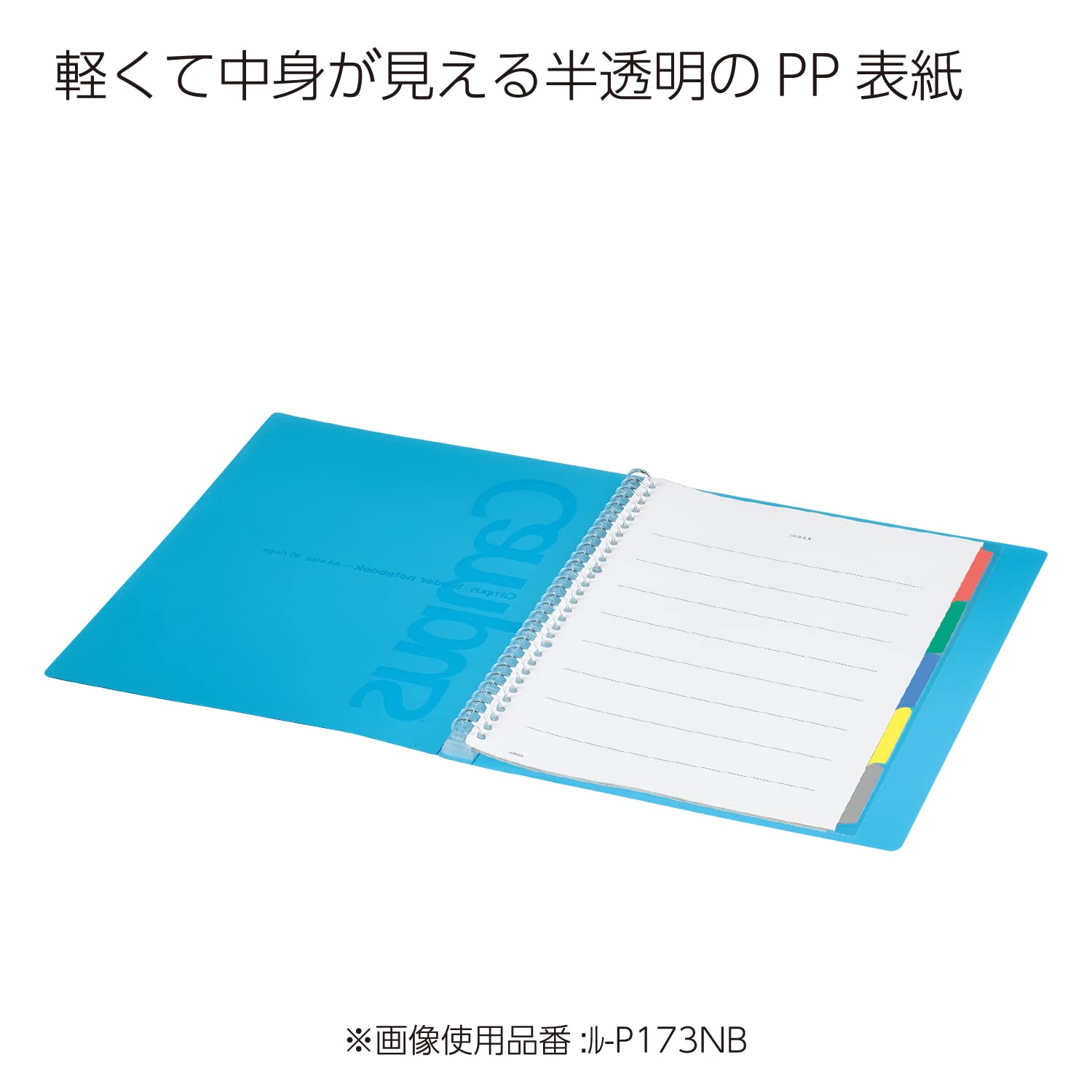 Kokuyo Campus Slide Binder with 5 Tab Dividers, Slim Type, A4, 30 Holes, Up to 65 Sheets, Transparent, Japan Import (RU-P173NT)