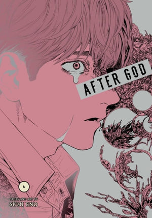 After God Manga Volumes 1-7, 7 Books Collection Set, by Sumi Eno