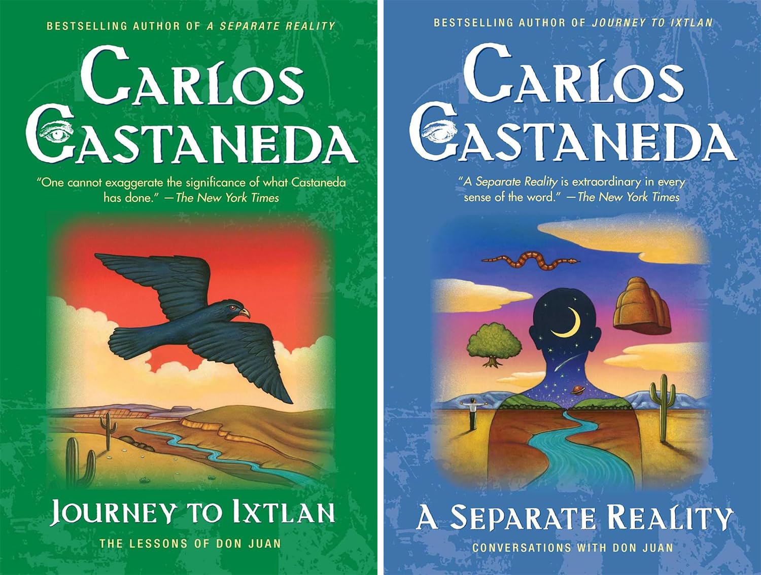 Carlos Castaneda's 9 Book Set: The Teachings of Don Juan, A Separate Reality, Journey to Ixtlan, Tales of Power, The Second Ring of Power, The Eagle's Gift, 7. The Fire From Within, The Power of Silence, The Art of Dreaming