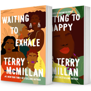 A Waiting to Exhale Novel Series,2 Books Collection Set，Waiting to Exhale,Getting to Happy by Terry McMillan