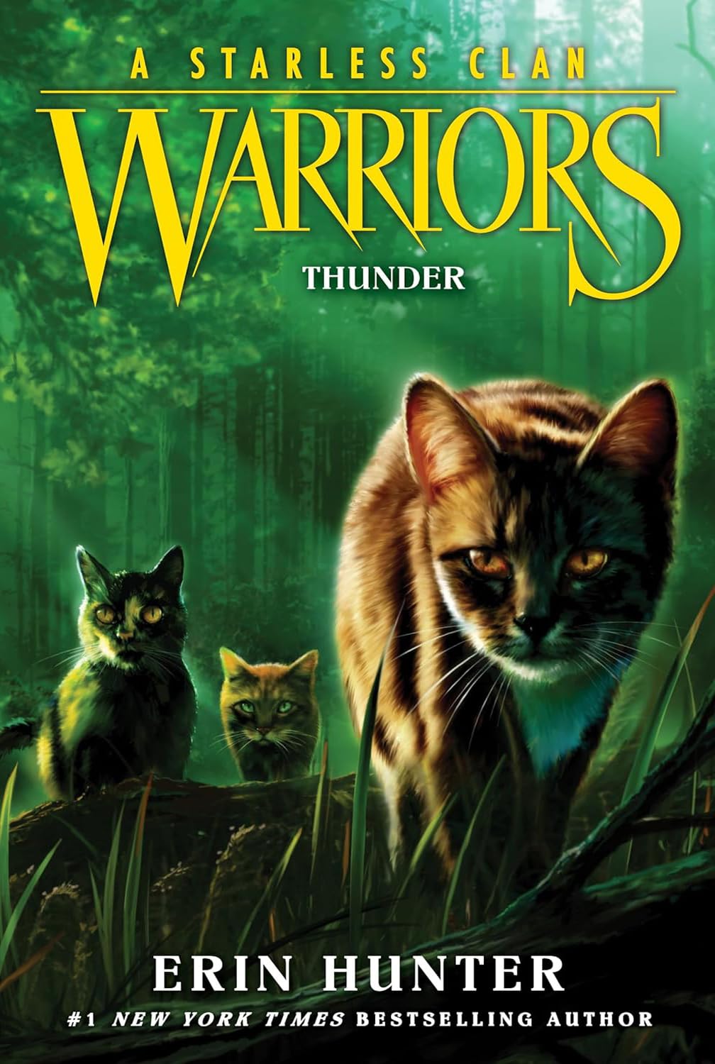 Warriors: A Starless Clan Series. Collection Set of 5 Books. River, Sky, Shadow, Thunder, Wind by Erin Hunter