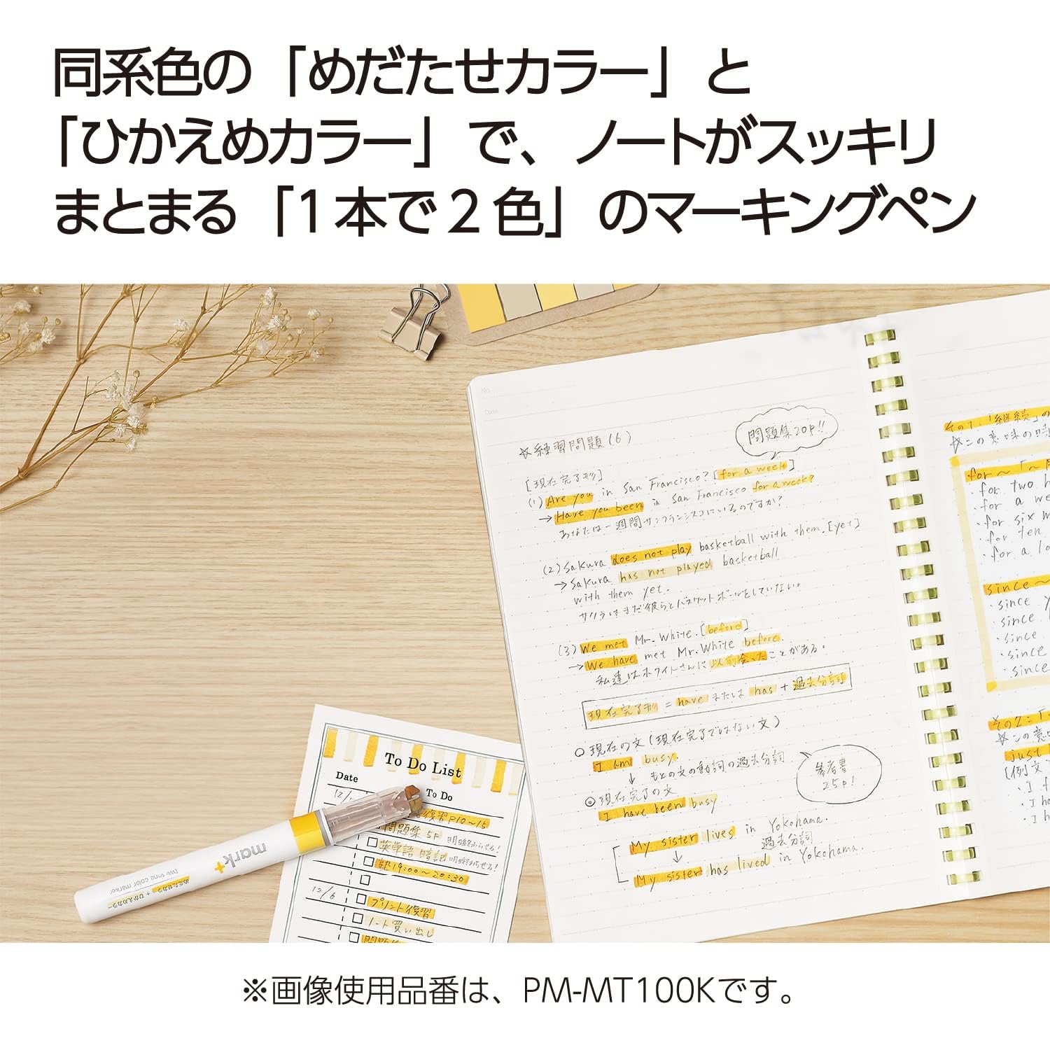 KOKUYO Fluorescent Highlighters, 2 Tone Chisel Tip Bible Markers in Assorted Colors, No Bleed Quick-Dry Art Marker for Journal, Planner, Notes. Japan Import (PM-MT100-5S2)