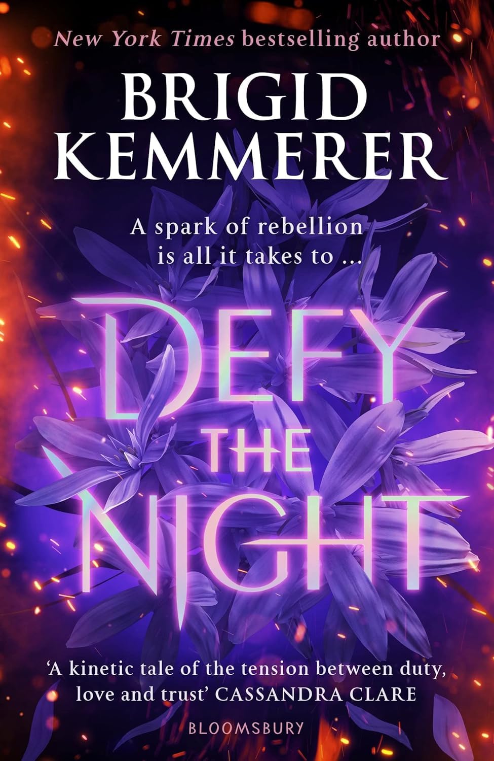 Defy the Night Series 3 Books Collection Set By Brigid Kemmerer (Defy the Night, Defend the Dawn & Destroy the Day)