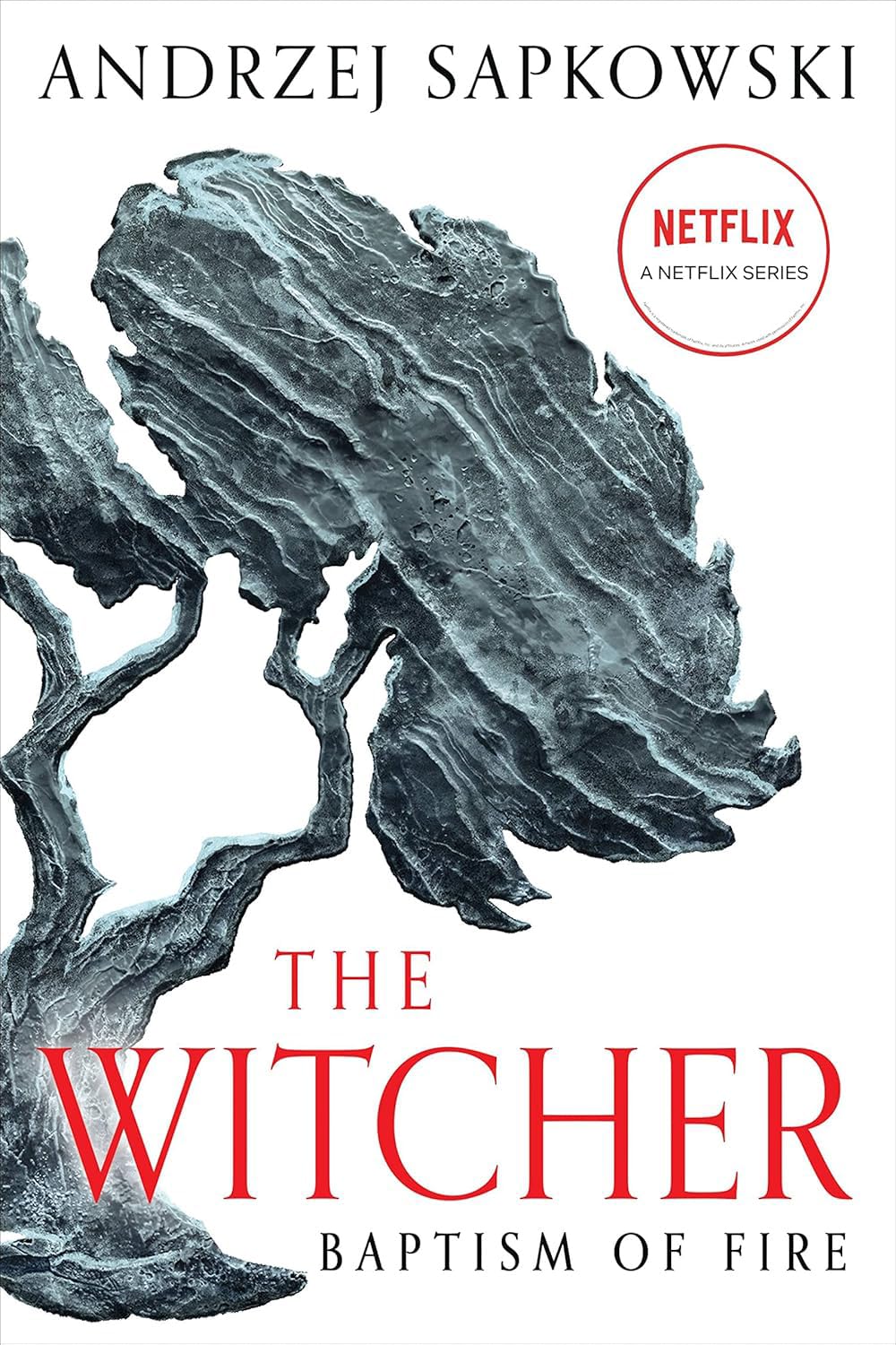 The Witcher Saga 8 - Book Collector's Edition by Andrzej Sapkowski. The Last Wish, Sword of Destiny, Blood of Elves, The Time of Contempt, Baptism of Fire, The Tower of Swallows, The Lady of the Lake, Season of Storms