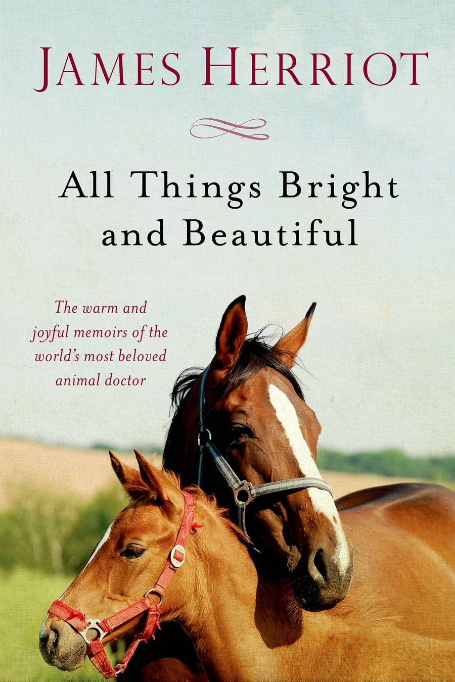 James Herriot's 5 Book Set: All Creatures Great and Small / All Things Bright and Beautiful / All Th