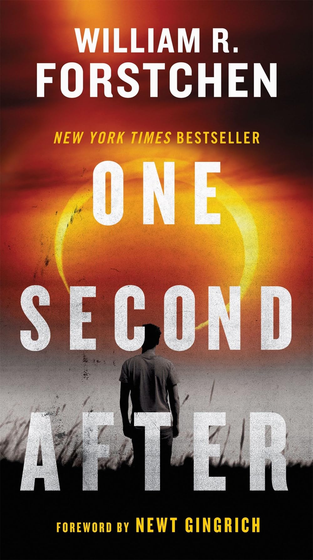 One Second After Trilogy (One Second After, One Year After, The Final Day)
