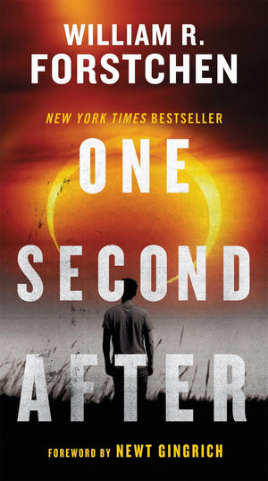 One Second After Trilogy (One Second After, One Year After, The Final Day)