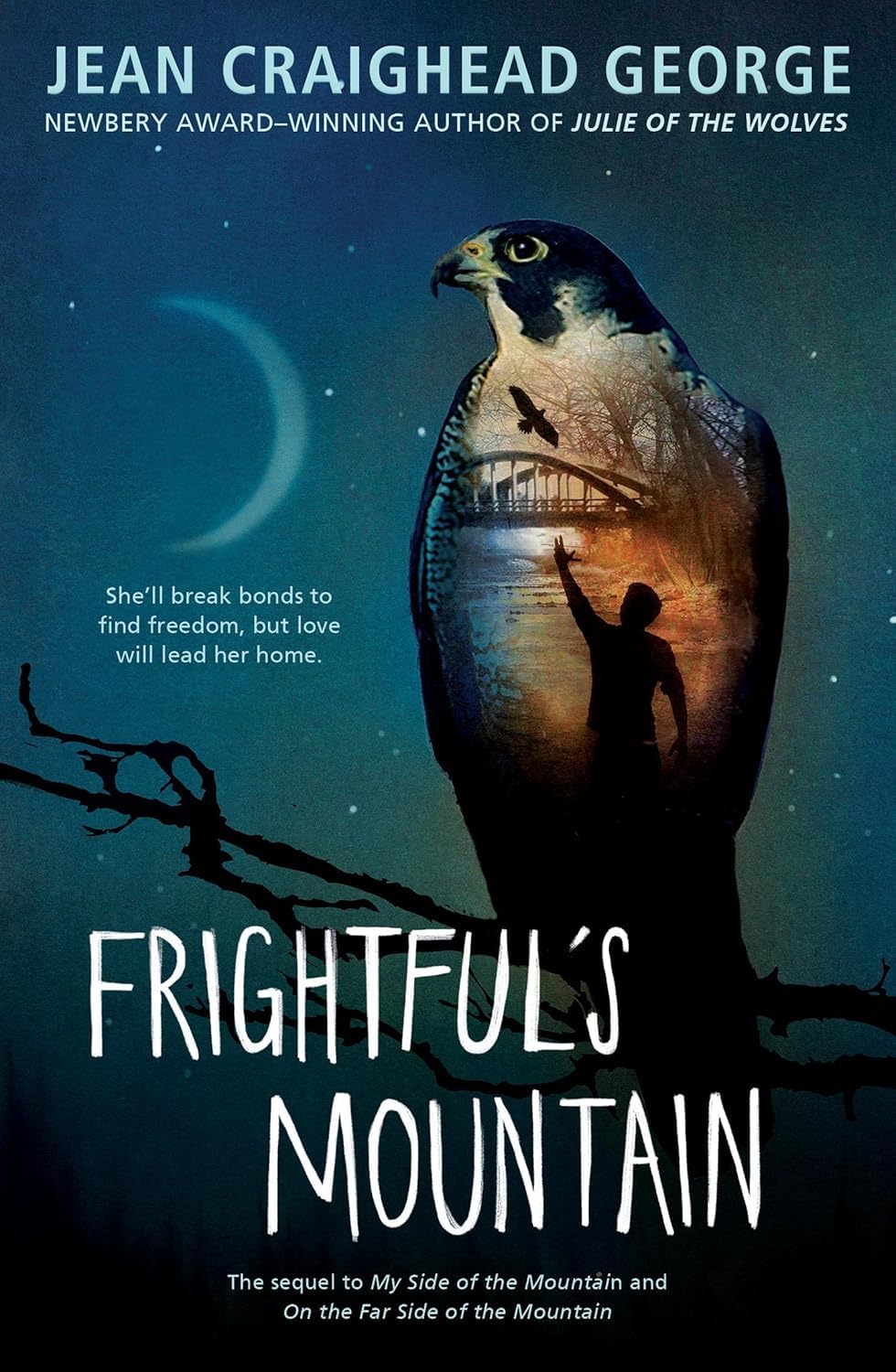 My Side of the Mountain Trilogy – 3 Book Collection by Jean Craighead George