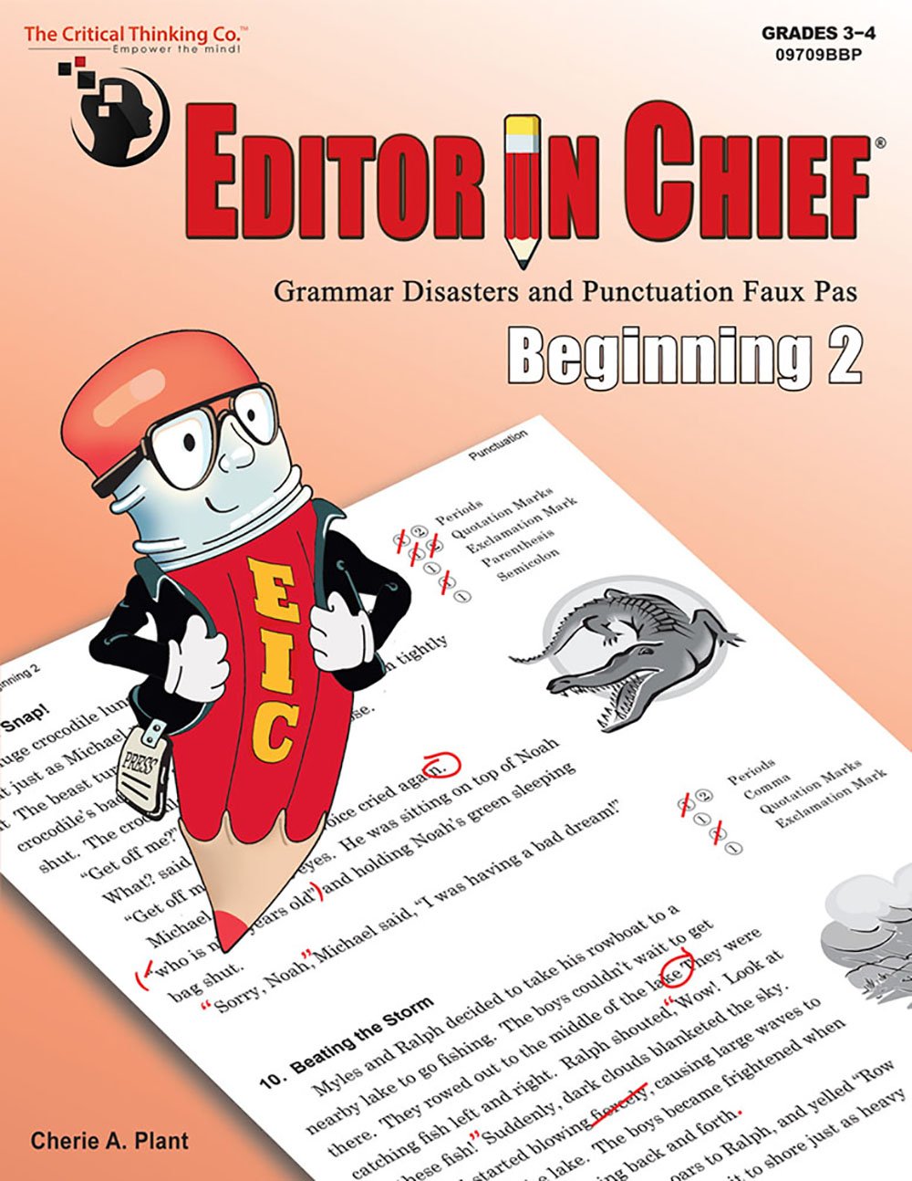 Editor in Chief: Beginning 2