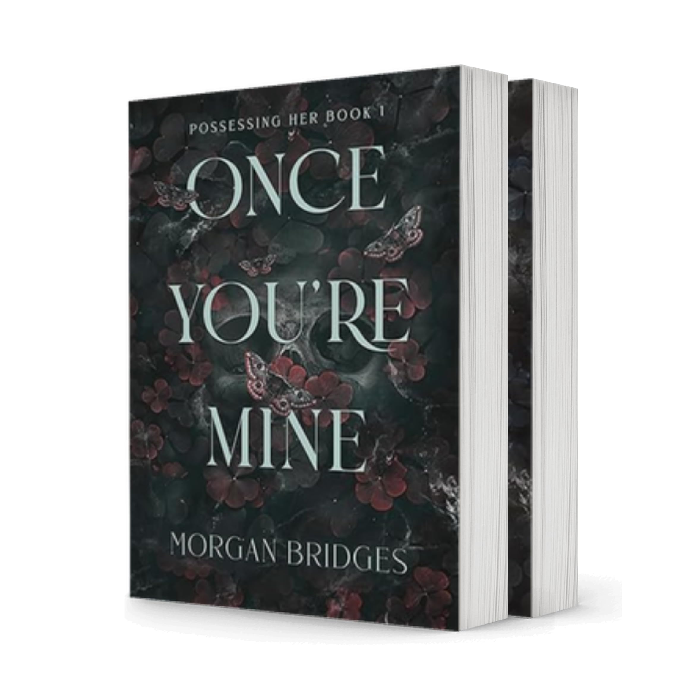 The Possessing Her Series, 2 Book Collection Set, Once You're Mine: A Dark Stalker Romance, Now You're Mine: A Dark Stalker Romance, by Morgan Bridges