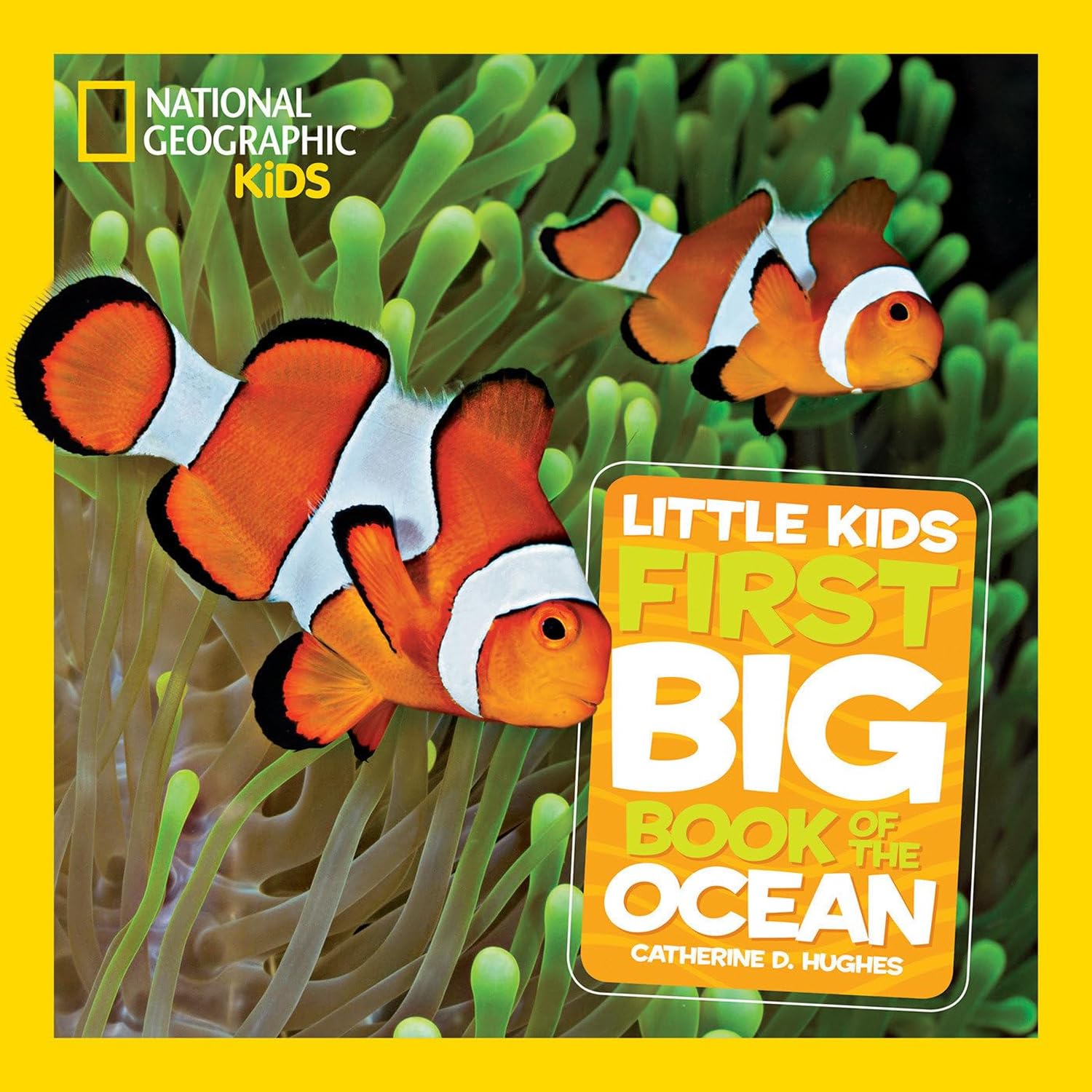 Little Kids First Big Book Collection 5-Book Set (Space, World, Ocean, Weather, Rain Forest) – Educational Science & Nature Picture Books for Kids