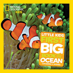 Little Kids First Big Book Collection 5-Book Set (Space, World, Ocean, Weather, Rain Forest) – Educational Science & Nature Picture Books for Kids