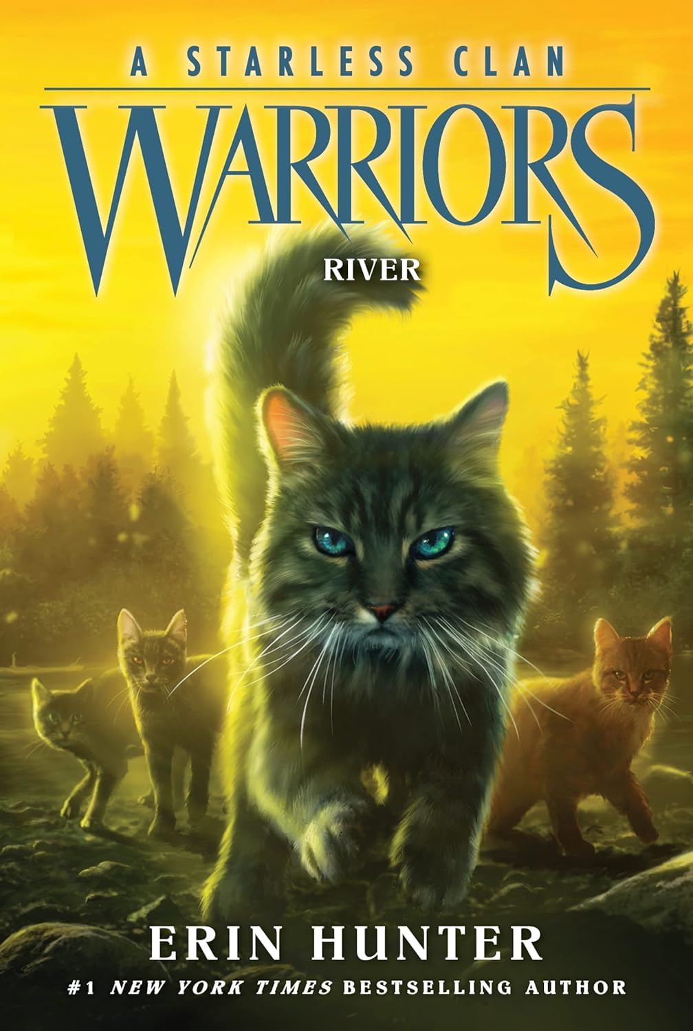 Warriors: A Starless Clan Series. Collection Set of 5 Books. River, Sky, Shadow, Thunder, Wind by Erin Hunter