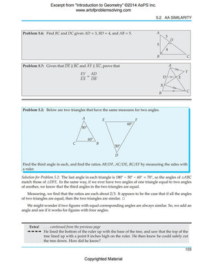 Art of Problem Solving (AoPS) Series, Introduction to Geometry 2 Books Set of Text and Solution by Richard Rusczyk