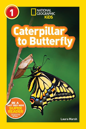 National Geographic Readers Level 1 : Caterpillar to Butterfly, Ponies, Frogs, Koalas, Sea Otters, Polar Bears - 6 Book Set
