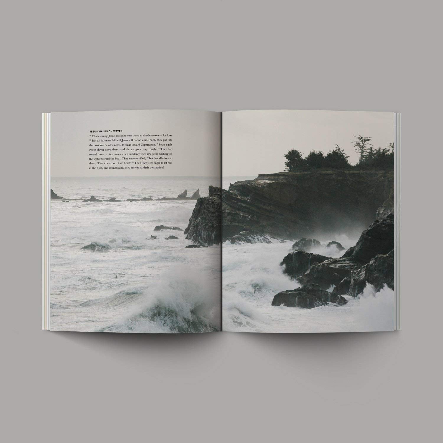 Grehge - Alabaster Bible [Perfect Paperback] Alabaster Co. [Perfect Paperback] Alabaster Co.