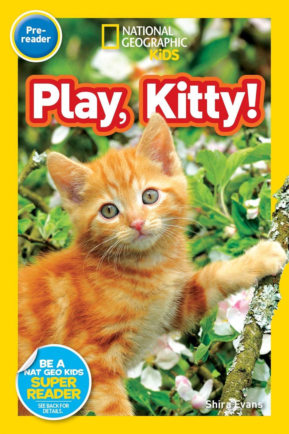 National Geographic Kids Animals Set : Jump, Pup! Peek, Otter! Go, Cub! Play, Kitty! Trot, Pony! Hoot, Owl!
