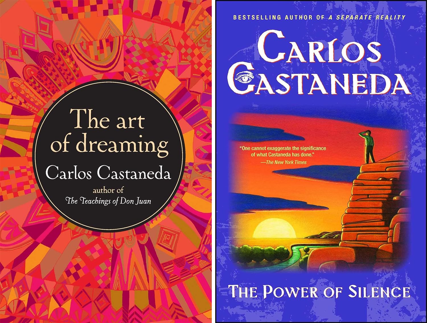 Carlos Castaneda's 9 Book Set: The Teachings of Don Juan, A Separate Reality, Journey to Ixtlan, Tales of Power, The Second Ring of Power, The Eagle's Gift, 7. The Fire From Within, The Power of Silence, The Art of Dreaming