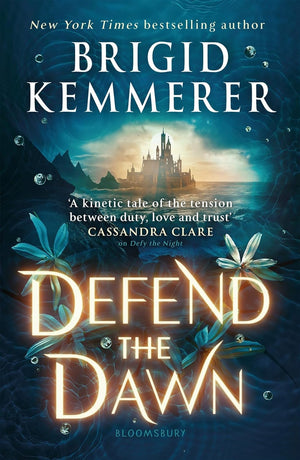 Defy the Night Series 3 Books Collection Set By Brigid Kemmerer (Defy the Night, Defend the Dawn & Destroy the Day)
