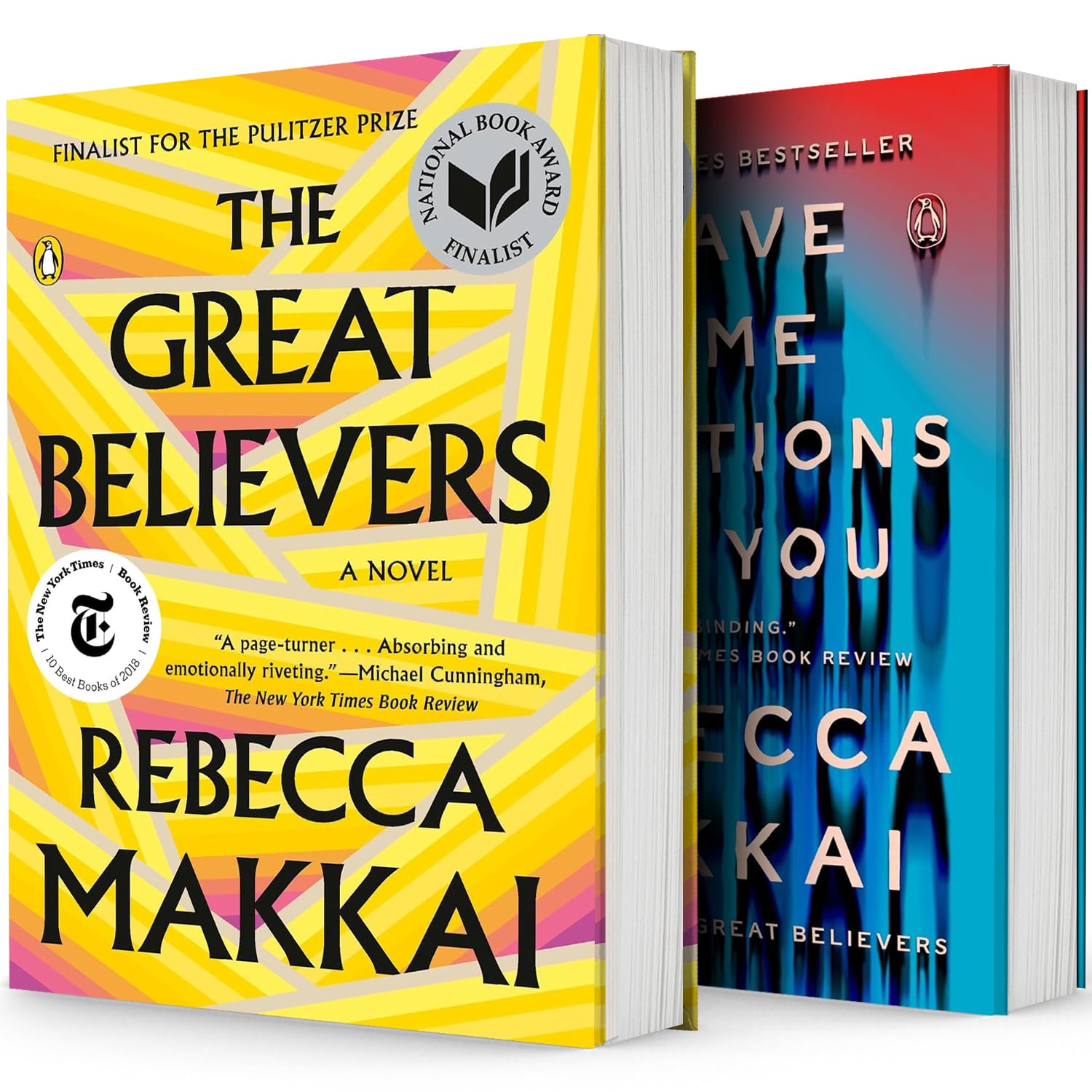 Rebecca Makkai Bestselling 2-Book Set – The Great Believers and I Have Some Questions for You – Contemporary Fiction Novels
