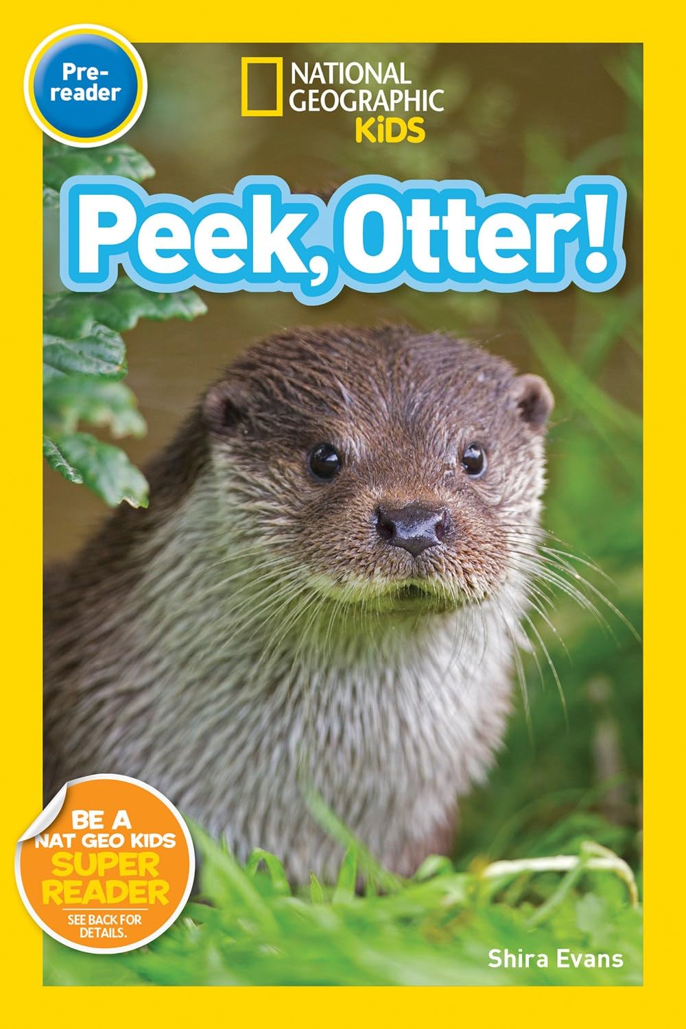 National Geographic Kids Animals Set : Jump, Pup! Peek, Otter! Go, Cub! Play, Kitty! Trot, Pony! Hoot, Owl!