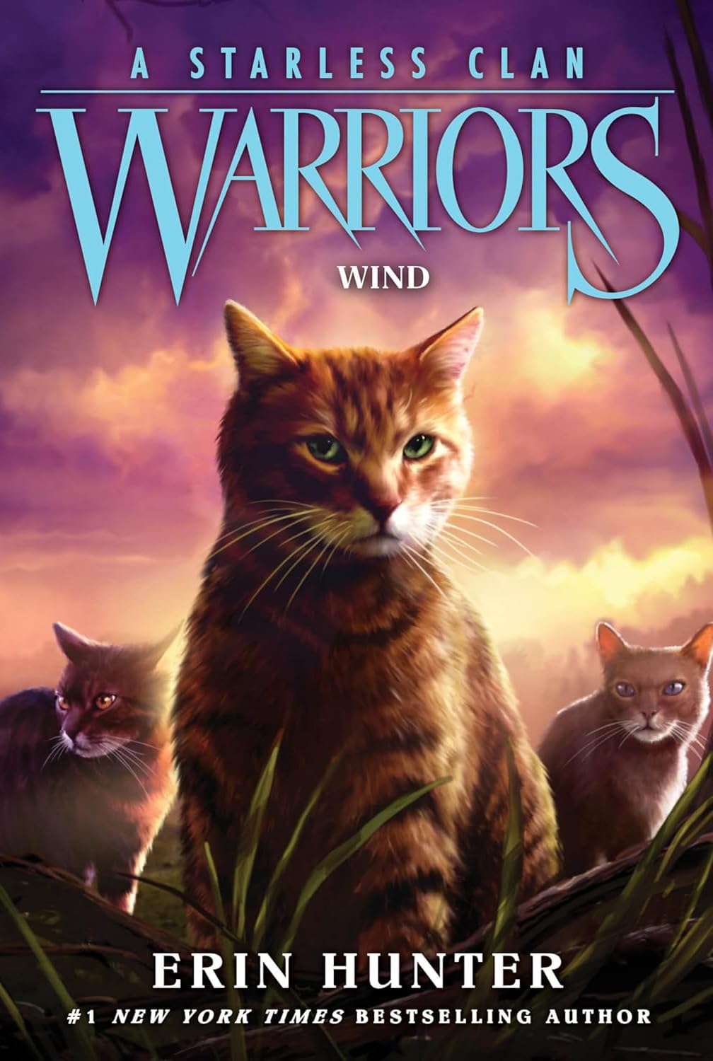 Warriors: A Starless Clan Series. Collection Set of 5 Books. River, Sky, Shadow, Thunder, Wind by Erin Hunter