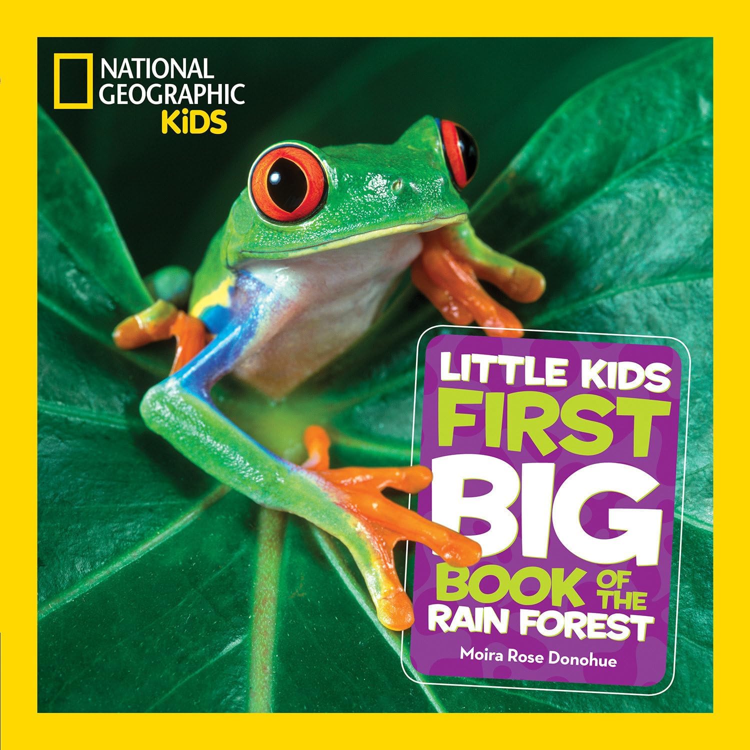 Little Kids First Big Book Collection 5-Book Set (Space, World, Ocean, Weather, Rain Forest) – Educational Science & Nature Picture Books for Kids