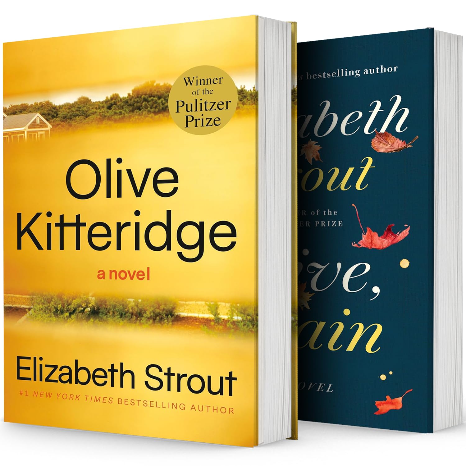 Olive Series Collection 2 Books Set by Elizabeth Strout - Olive Kitteridge and Olive, Again