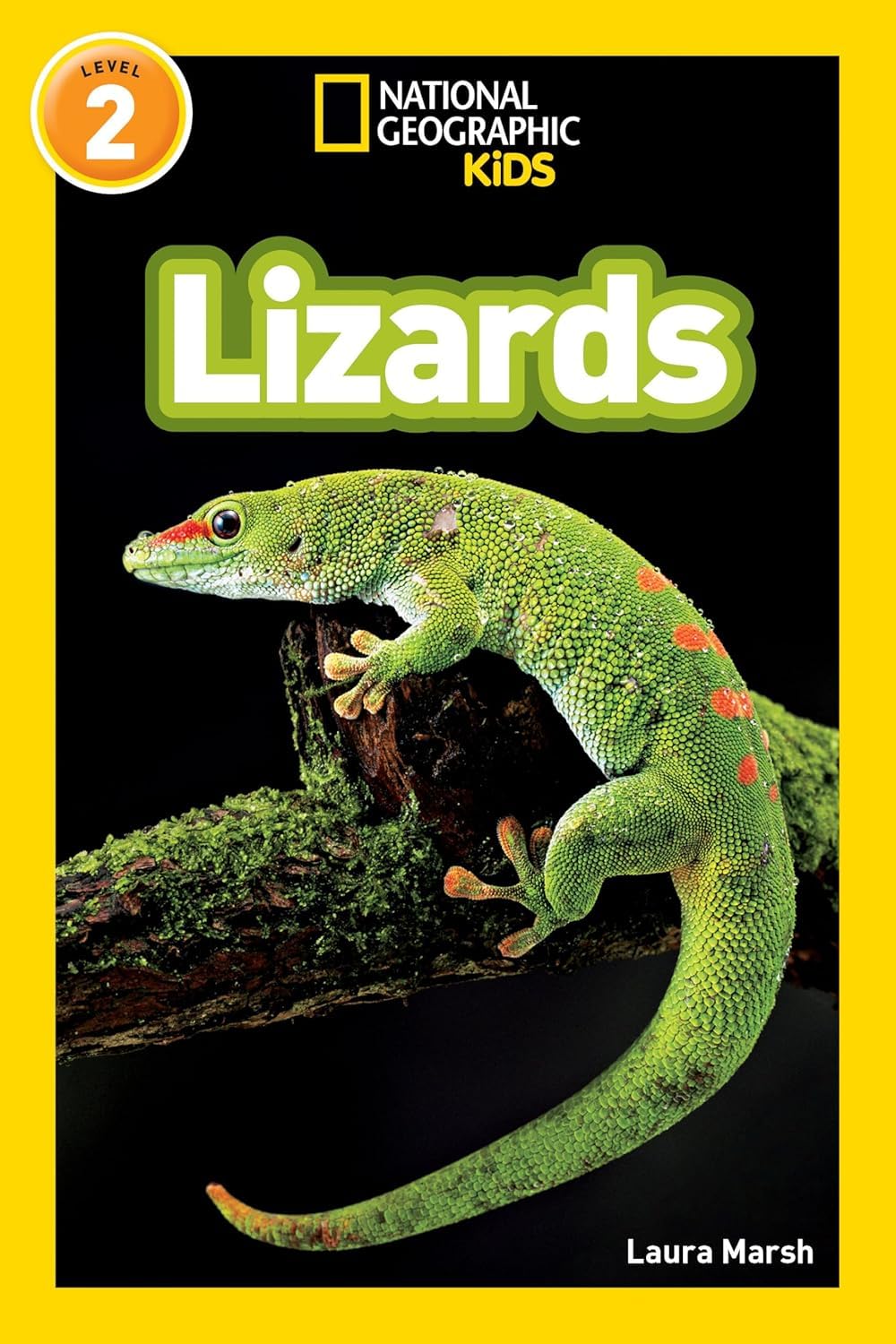National Geographic Kids Readers, 6 Books Set, Caterpil-lar to Butterfly, Tigers, Lizards, Wolves, Volcanoes, Sharks, Level 1-2
