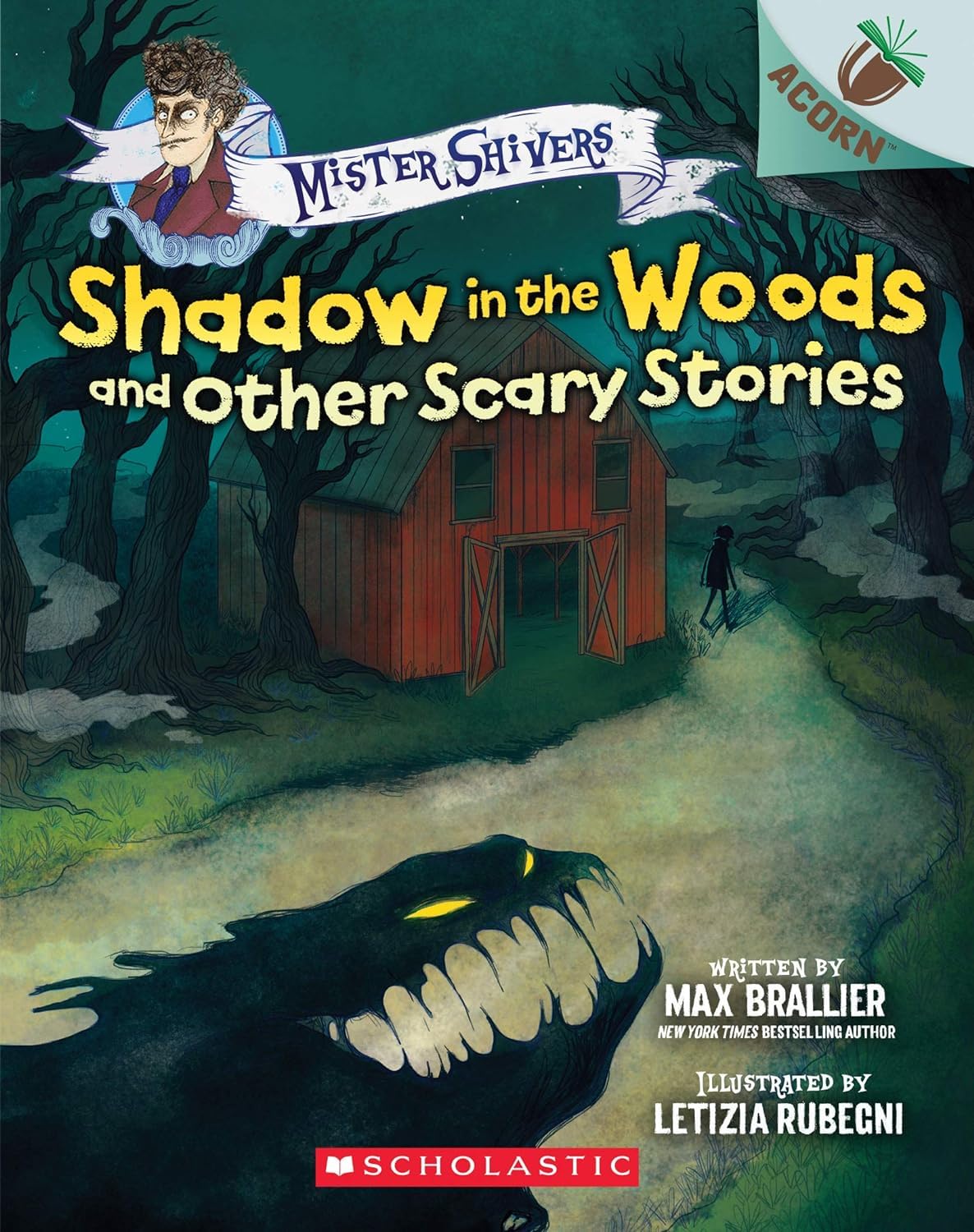 Mister Shivers Series 4 Books Set