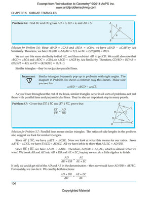 Art of Problem Solving (AoPS) Series, Introduction to Geometry 2 Books Set of Text and Solution by Richard Rusczyk