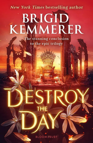 Defy the Night Series 3 Books Collection Set By Brigid Kemmerer (Defy the Night, Defend the Dawn & Destroy the Day)