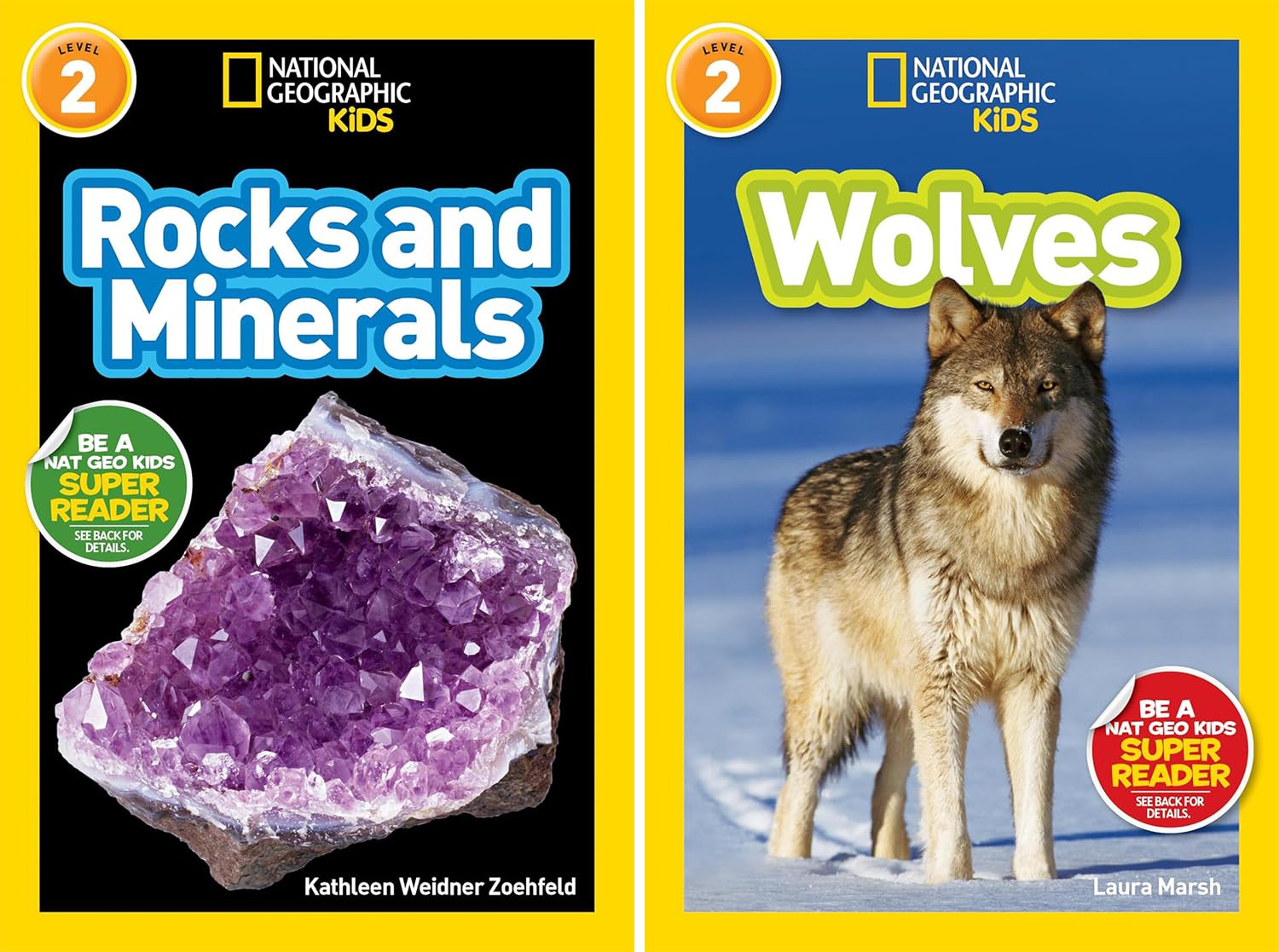 National Geographic Kids Readers Level 2 Series, Collection Set of 10 Books. Volcanoes, Mummies, Planets, Penguins, Sharks, Snakes, Rocks and Minerals, Wolves, Pandas, Dolphins