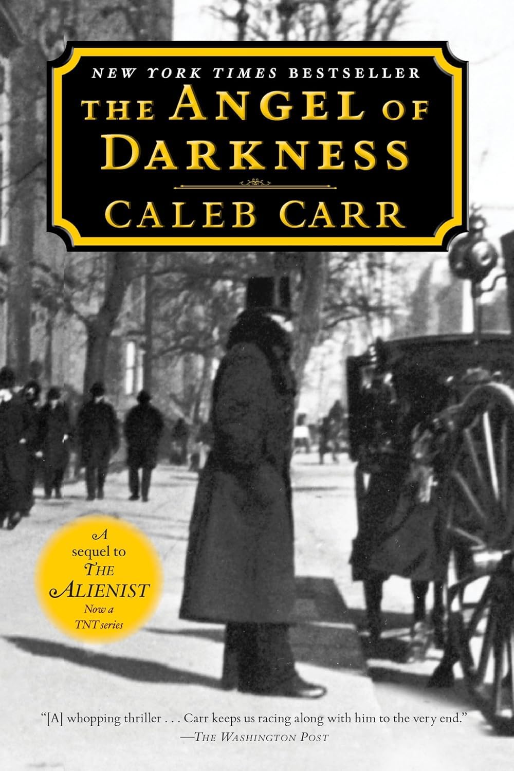 Dr. Lazlo Kreizler Series, 2 Book Set, The Alienist, The Angel of Darkness: Book 2 of the Alienist, by Caleb Carr