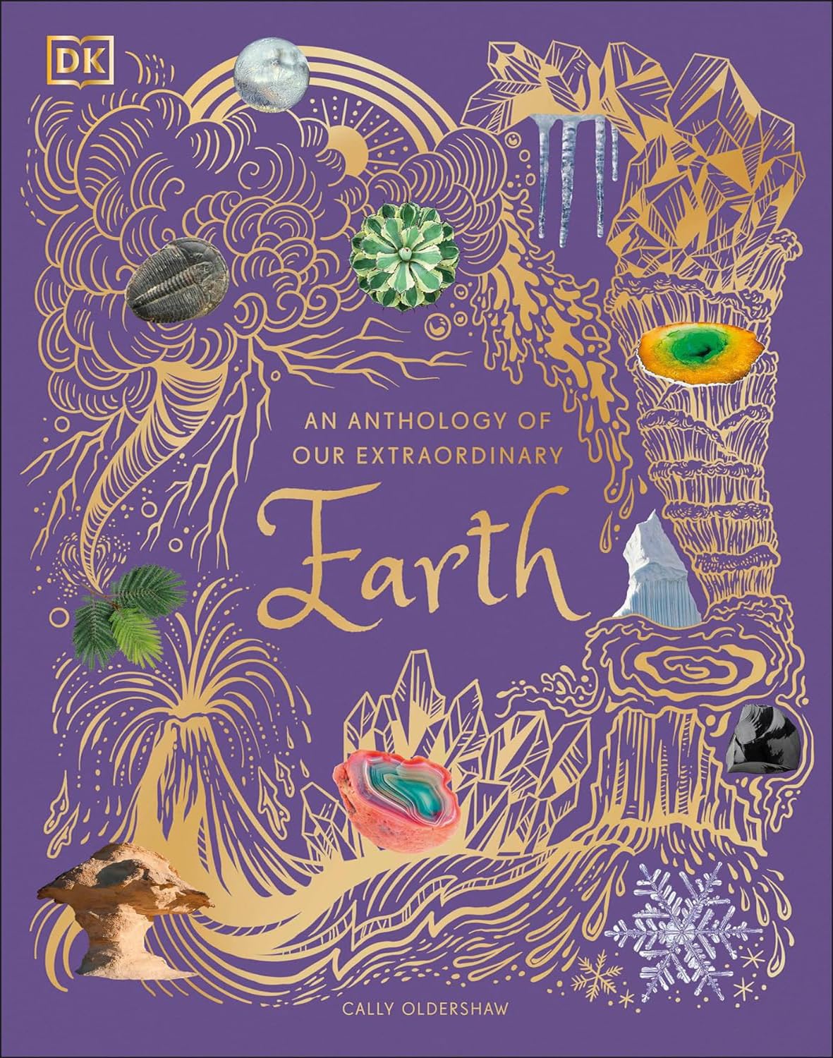 DK Children's Anthologies Set of 6 Books. Wonders of Nature, Mysteries of the Universe, Anthology of Intriguing Animals, Dinosaurs and other Prehistoric Life, Aquatic Life & Our Extraordinary Earth
