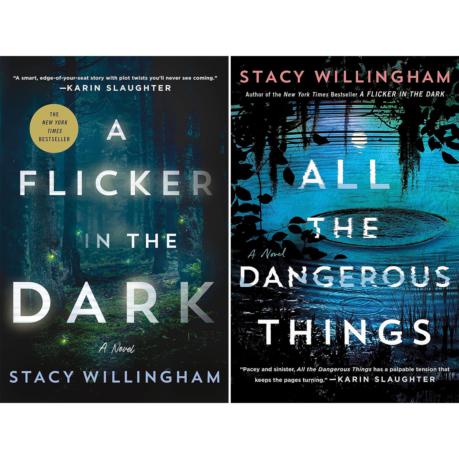 Stacy Willingham's 2-Book Set (A Flicker in the Dark & All the Dangerous Things)