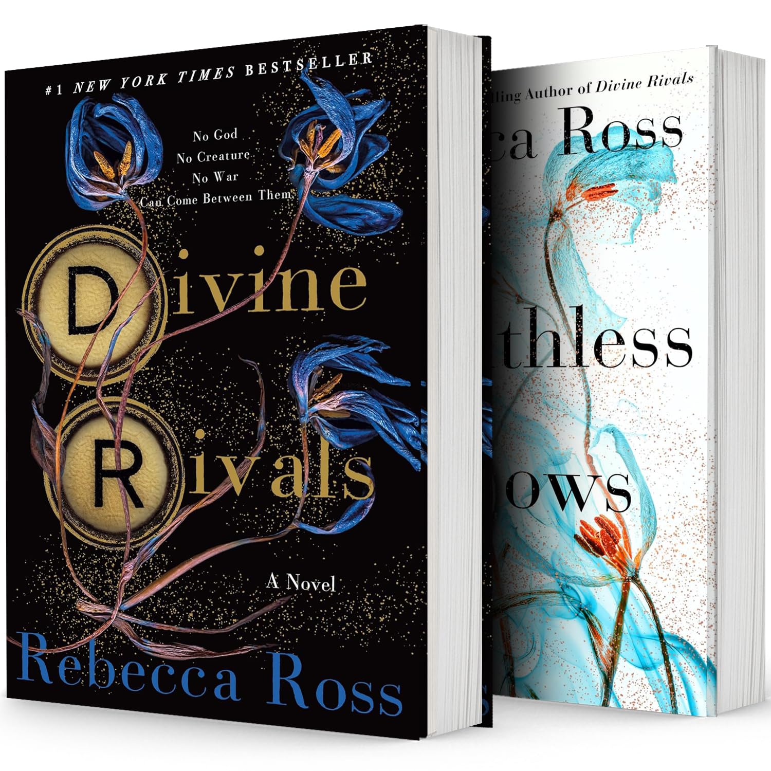 Letters of Enchantment Series, Collection Set 2 Books, by Rebecca Ross - Hardcover, Divine Rivals, Ruthless Vows