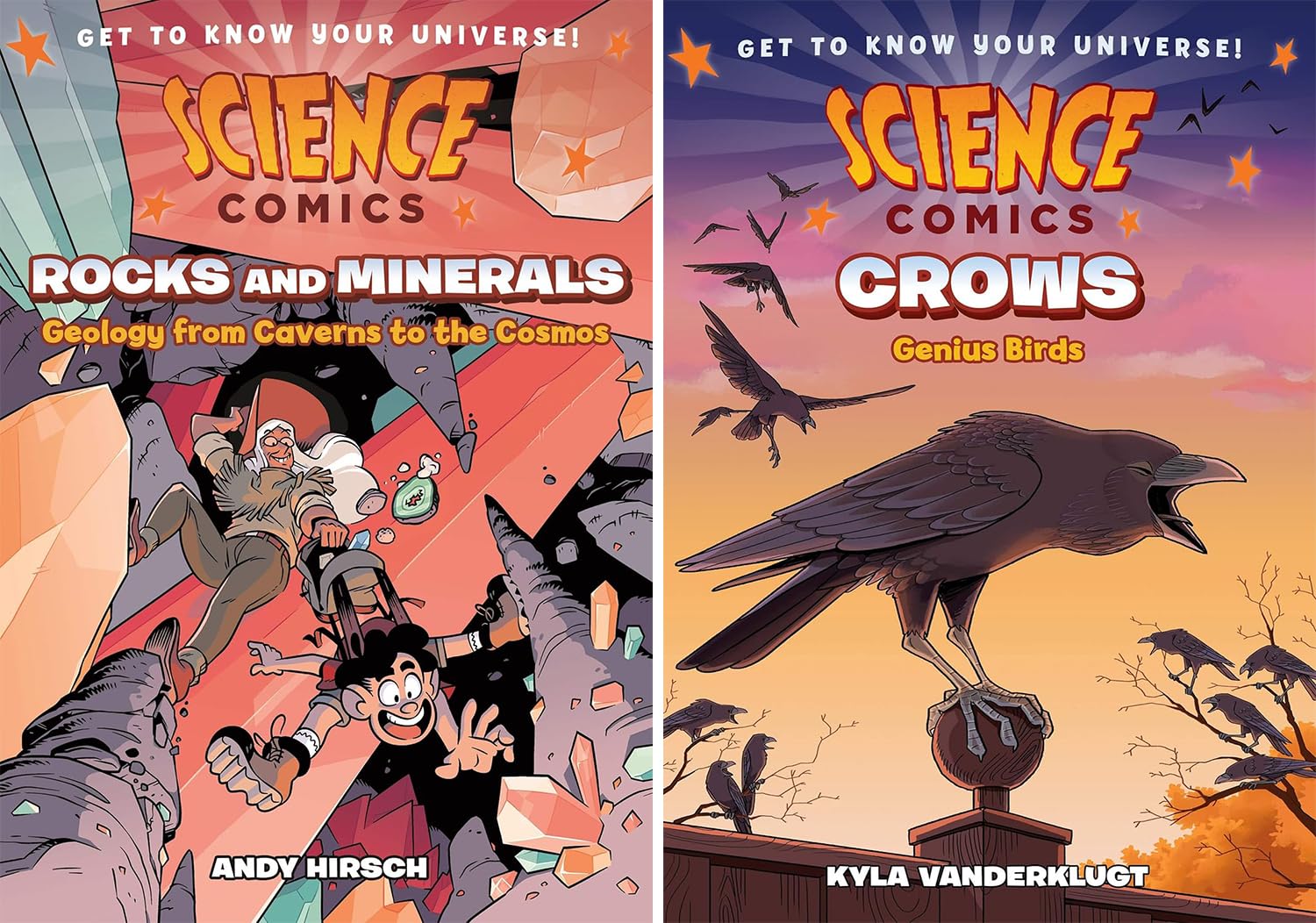 Science Comics: Get to Know Your Universe! 10-Book Collection – Rocks and Minerals, Digestive System, Spiders, Whales, Birds of Prey, Bridges, Periodic Table of Elements, Electricity, Frogs, Crows
