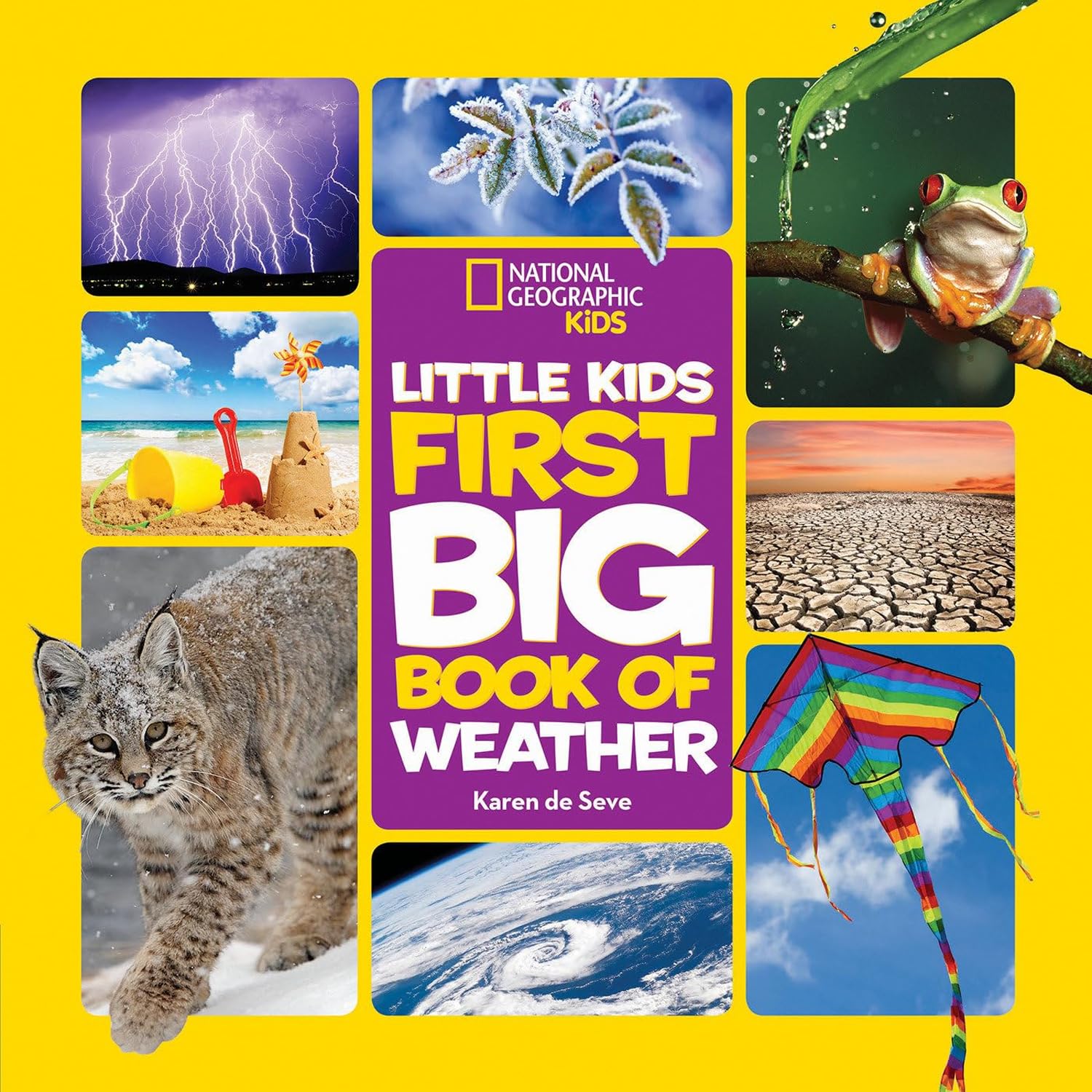 Little Kids First Big Book Collection 5-Book Set (Space, World, Ocean, Weather, Rain Forest) – Educational Science & Nature Picture Books for Kids