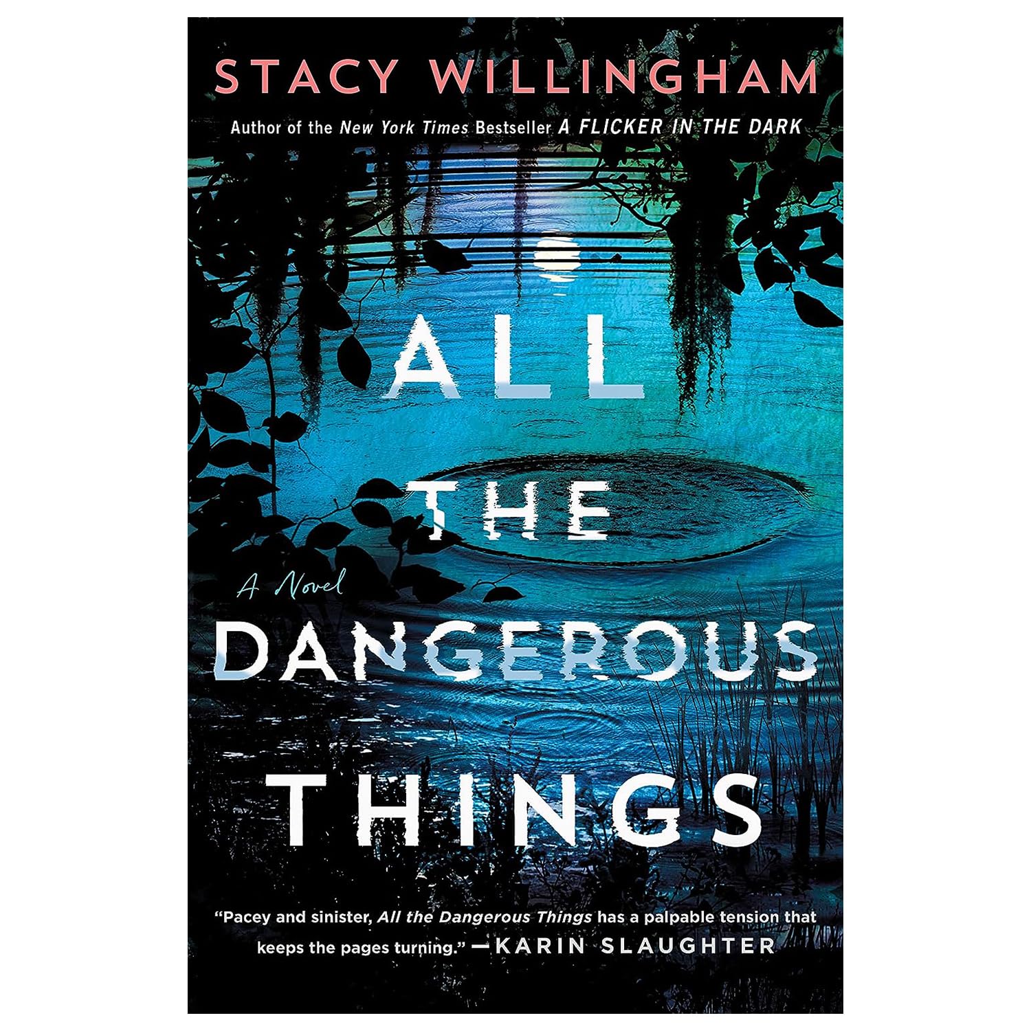 Stacy Willingham's 2-Book Set (A Flicker in the Dark & All the Dangerous Things)