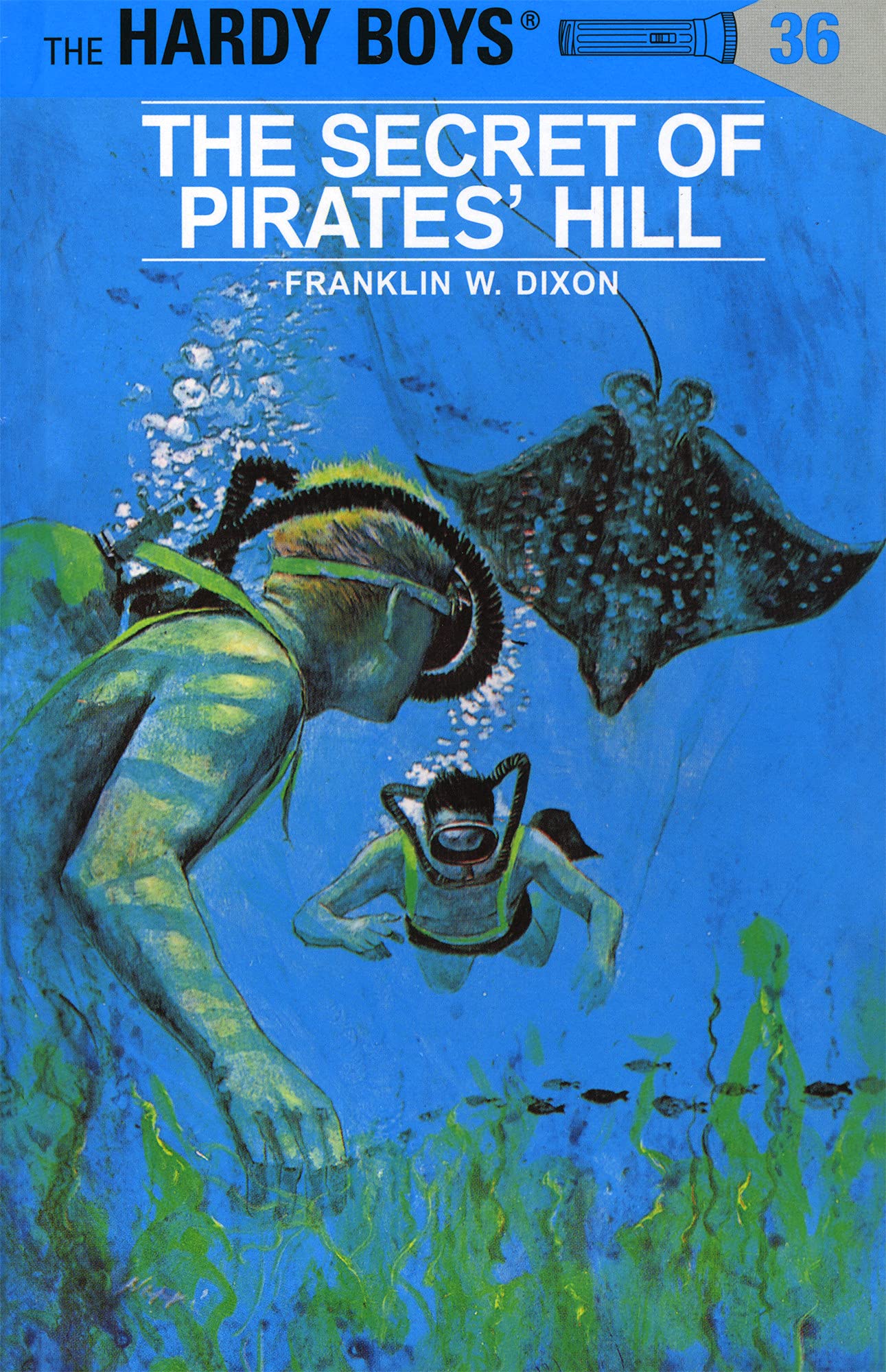Hardy Boys Set - Books 31-40