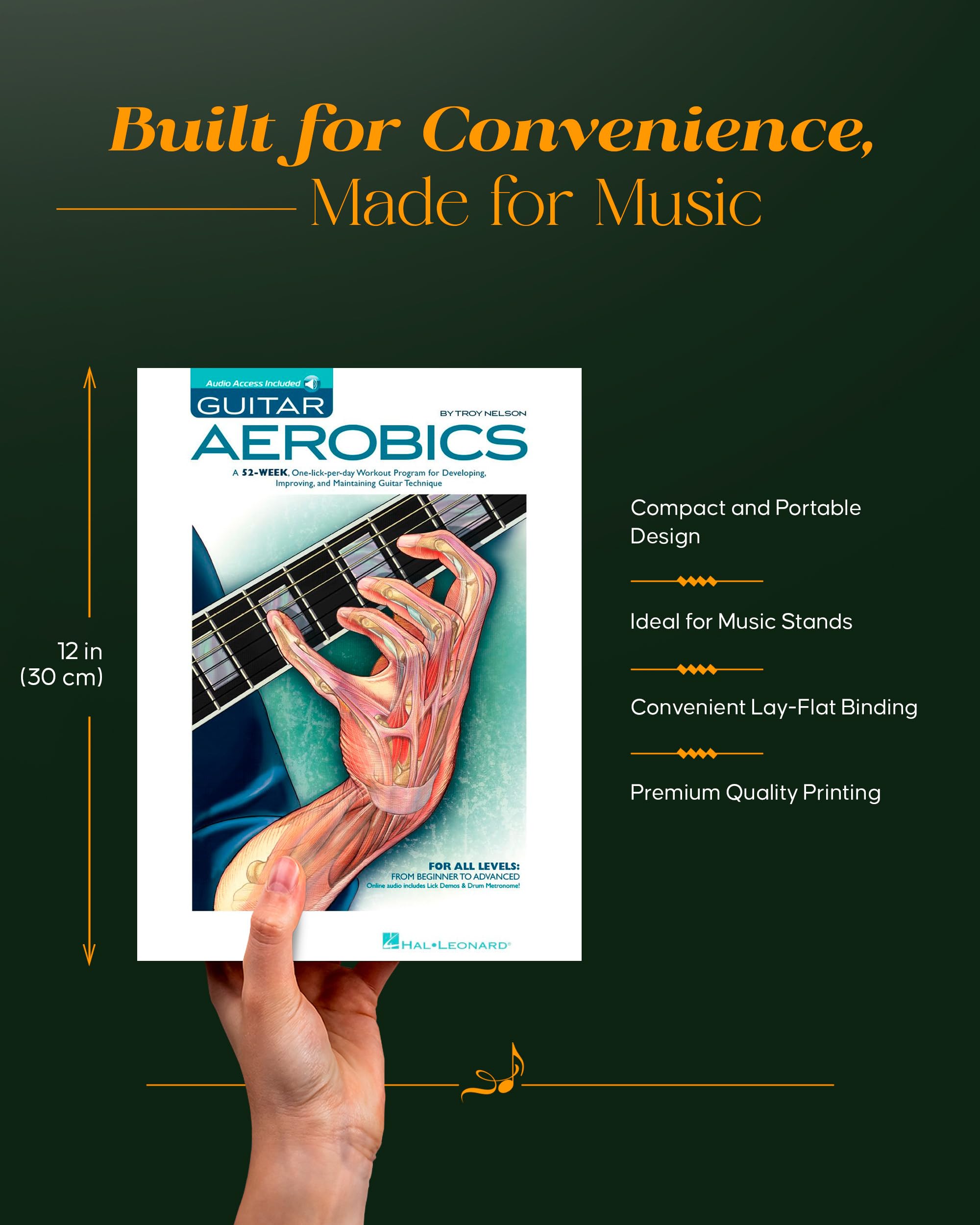 Guitar Aerobics: A 52-Week, One-lick-per-day Workout Program for Developing, Improving and Maintaining Guitar Technique Bk/online audio