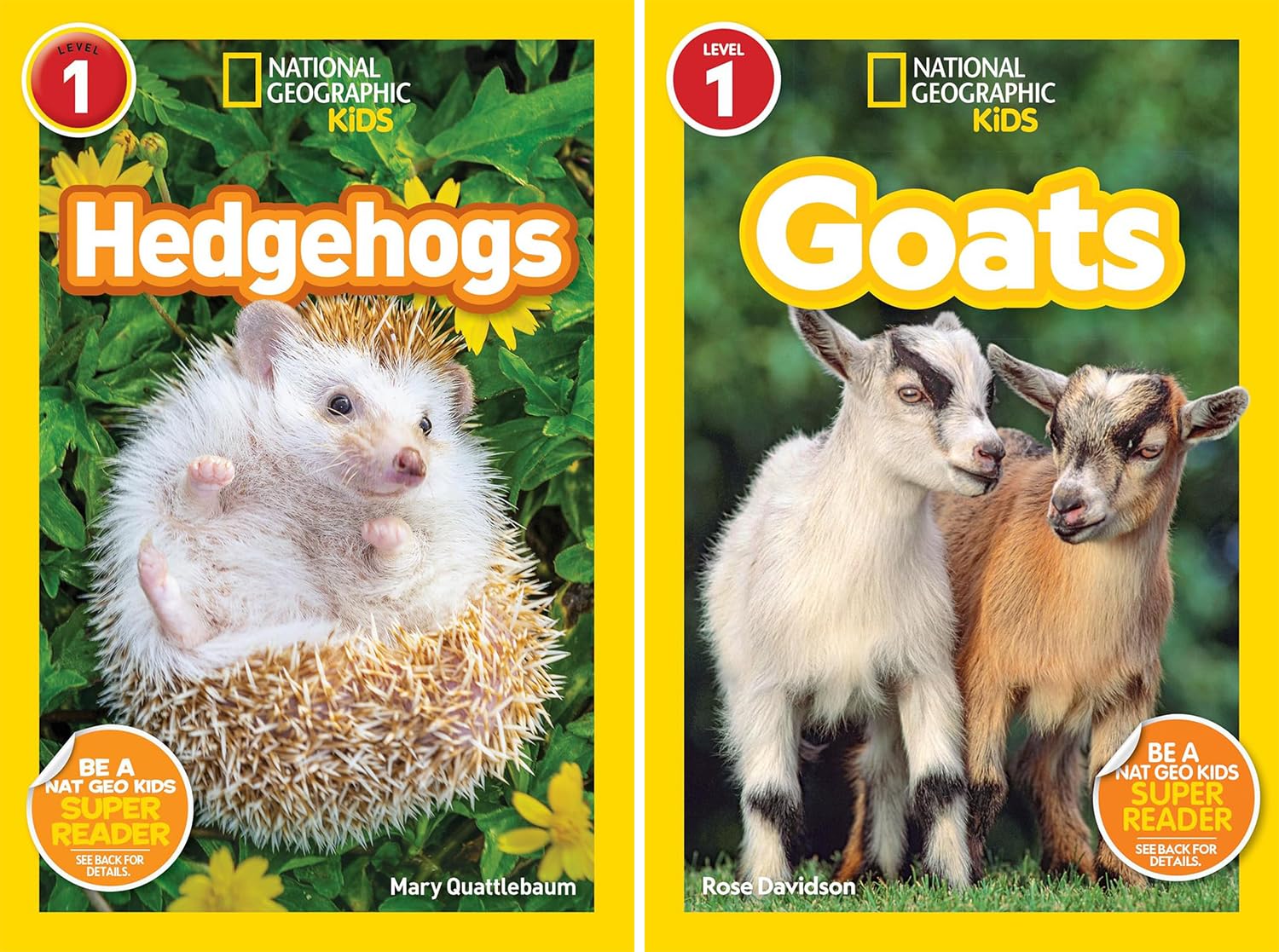National Geographic Kids Readers Level 1 Series, Collection Set of 10 Books. Wild Cats, T. Rex, Reptiles, Pyramids, Here to There, Llamas, Hedgehogs, Goats, Day and Night, Animal Doctors