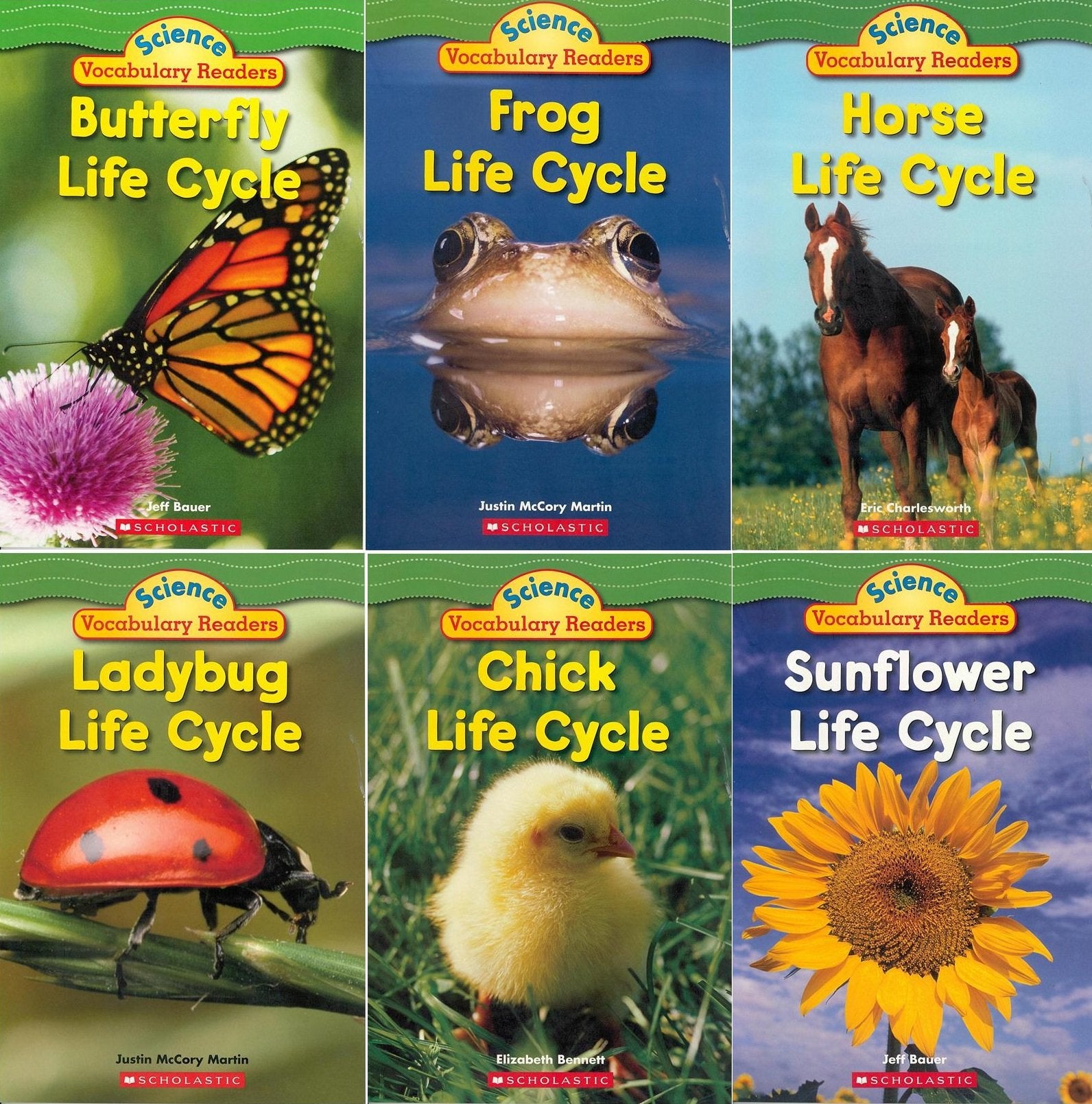 Science Vocabulary Readers Set: Life Cycles: Exciting Nonfiction Books That Build Kids' Vocabularies (Scholastic Science Vocabulary Readers) by Elizabeth Bennett (2013-05-03)